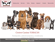 Tablet Screenshot of centrocaninotoracan.com